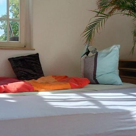 Forrest Apartments In Freiberg Min Stay 2 Nights Max Number Of Guest 1 Aprt 1 Екстериор снимка