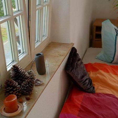 Forrest Apartments In Freiberg Min Stay 2 Nights Max Number Of Guest 1 Aprt 1 Екстериор снимка