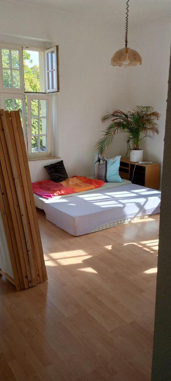Forrest Apartments In Freiberg Min Stay 2 Nights Max Number Of Guest 1 Aprt 1 Екстериор снимка