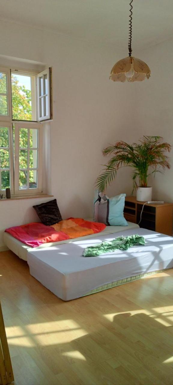 Forrest Apartments In Freiberg Min Stay 2 Nights Max Number Of Guest 1 Aprt 1 Екстериор снимка