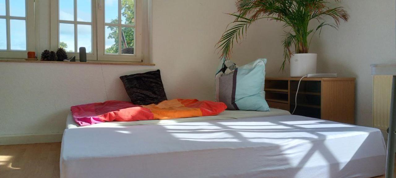 Forrest Apartments In Freiberg Min Stay 2 Nights Max Number Of Guest 1 Aprt 1 Екстериор снимка