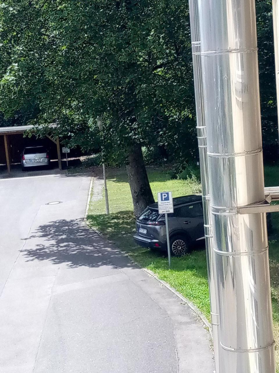 Forrest Apartments In Freiberg Min Stay 2 Nights Max Number Of Guest 1 Aprt 1 Екстериор снимка